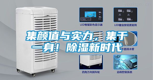 集颜值与实力，集于一身！除湿新时代