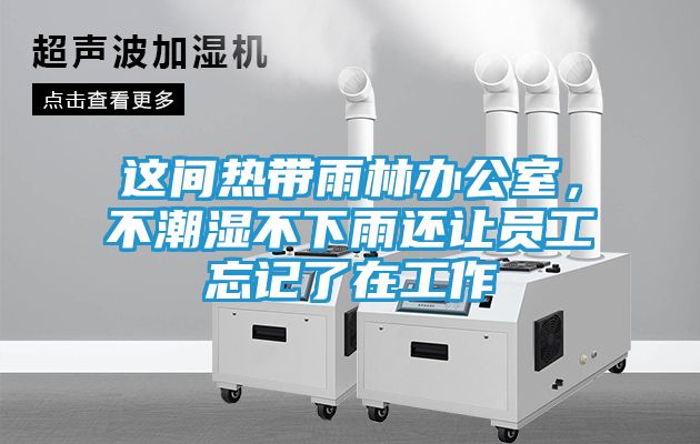 这间热带雨林办公室，不潮湿不下雨还让员工忘记了在工作