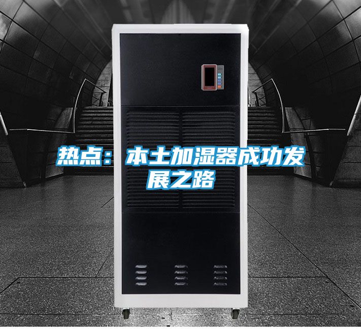 热点：本土加湿器成功发展之路