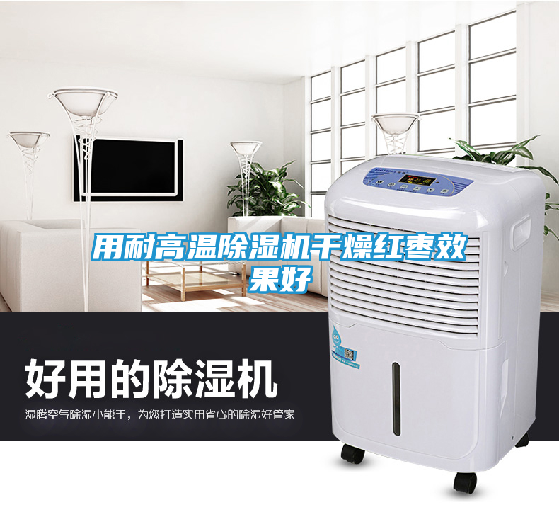 用耐高温除湿机干燥红枣效果好