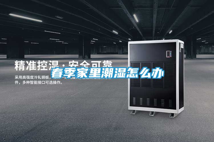 春季家里潮湿怎么办