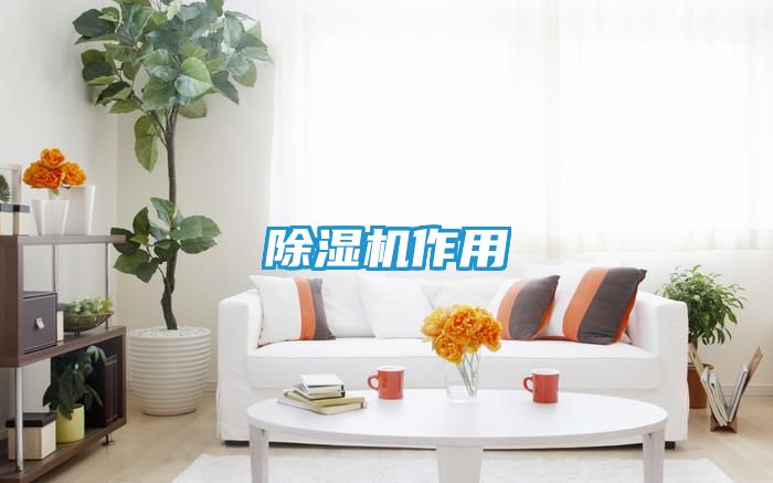 除湿机作用