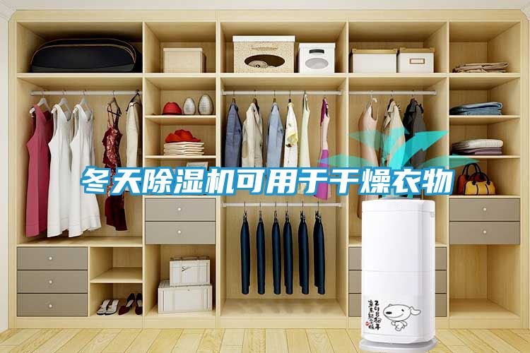 冬天除湿机可用于干燥衣物