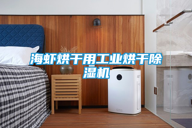 海虾烘干用工业烘干除湿机