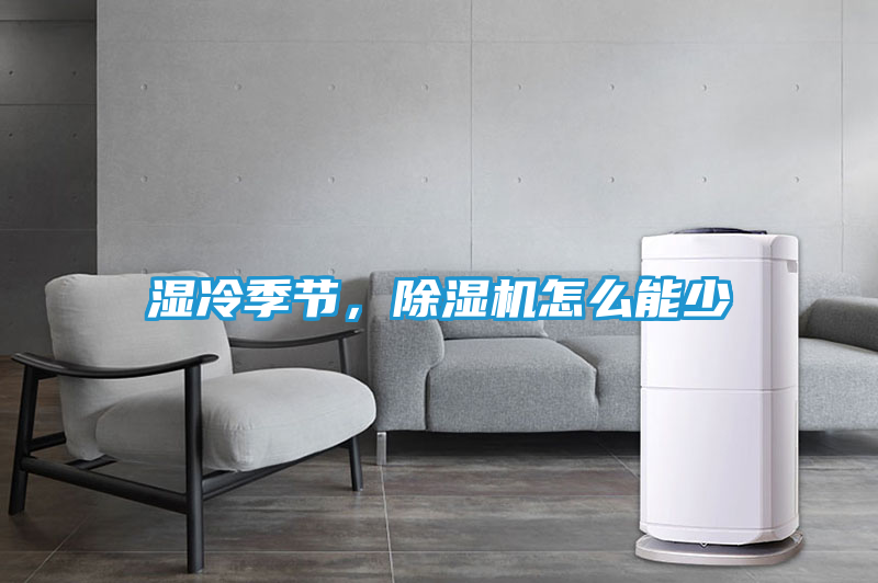 湿冷季节，除湿机怎么能少