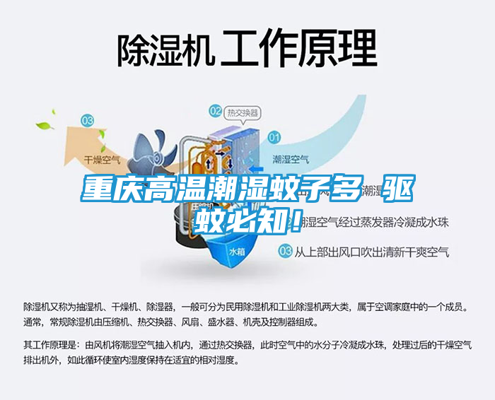 重庆高温潮湿蚊子多 驱蚊必知！