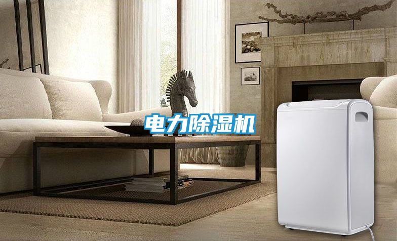 电力除湿机