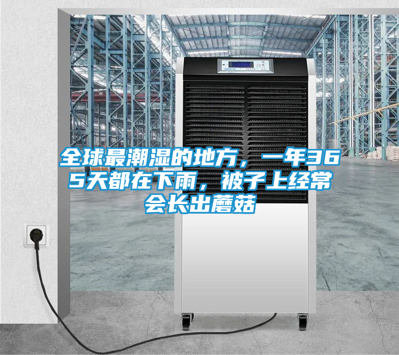 全球最潮湿的地方，一年365天都在下雨，被子上经常会长出蘑菇