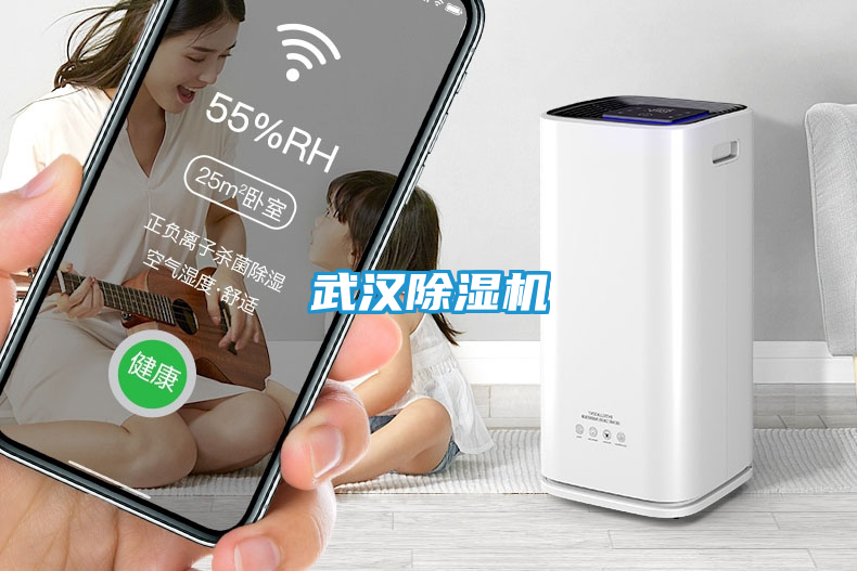 武汉除湿机