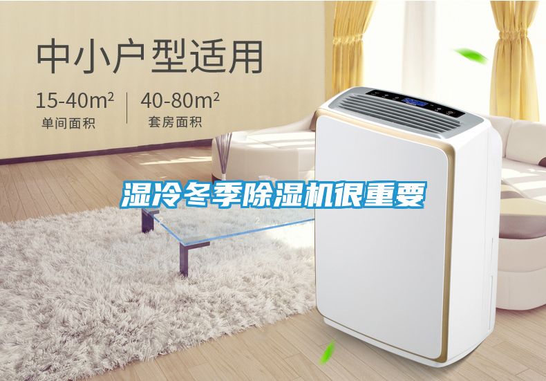 湿冷冬季除湿机很重要