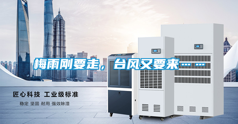 梅雨刚要走，台风又要来……