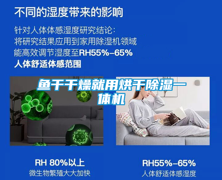 鱼干干燥就用烘干除湿一体机
