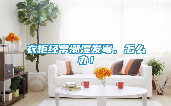 衣柜经常潮湿发霉，怎么办！