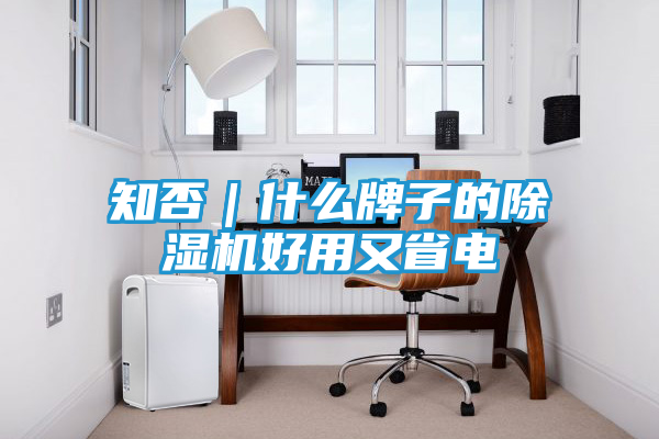 知否｜什么牌子的除湿机好用又省电