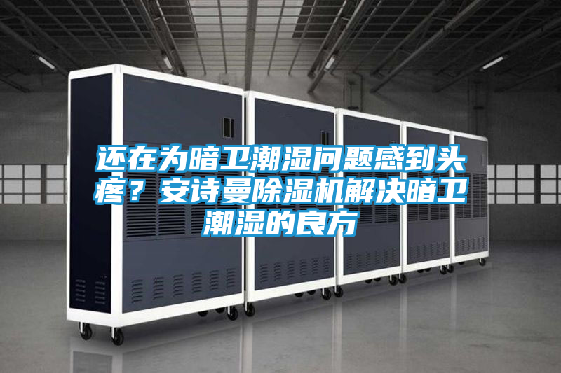 还在为暗卫潮湿问题感到头疼？安诗曼除湿机解决暗卫潮湿的良方