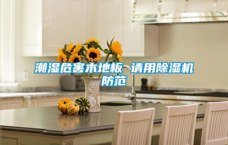 潮湿危害木地板 请用除湿机防范