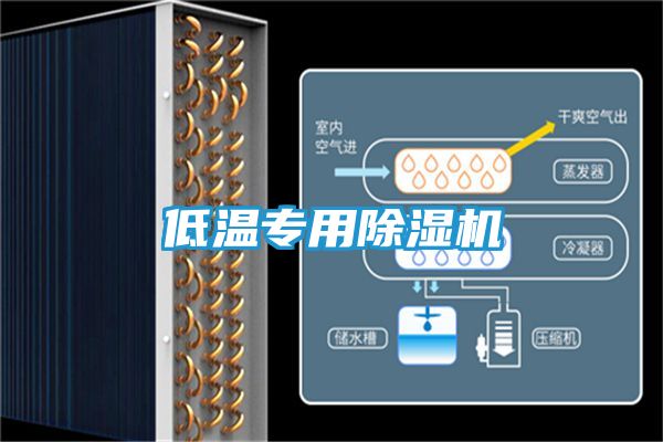 低温专用除湿机