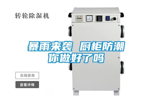 暴雨来袭 厨柜防潮你做好了吗