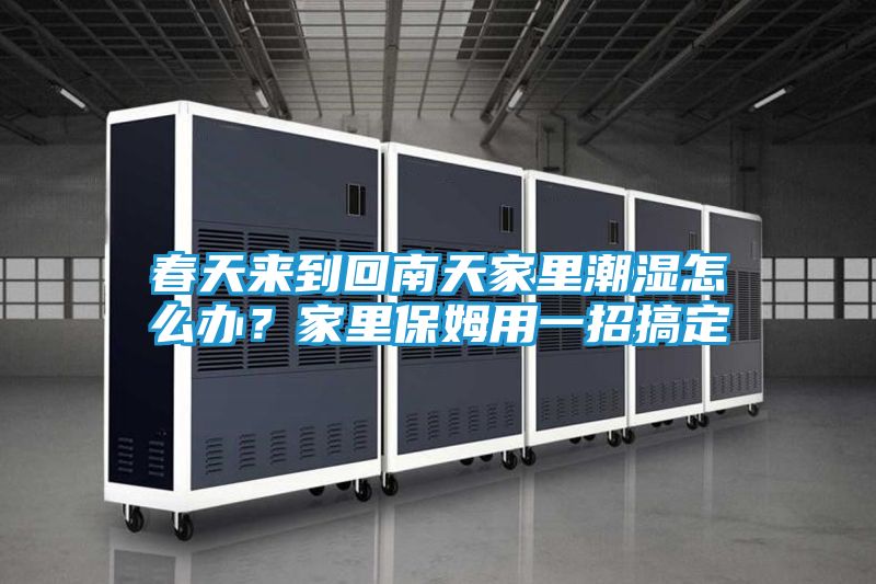 春天来到回南天家里潮湿怎么办?家里保姆用一招搞定