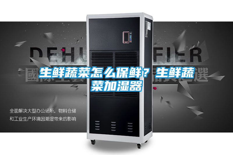 生鲜蔬菜怎么保鲜？生鲜蔬菜加湿器