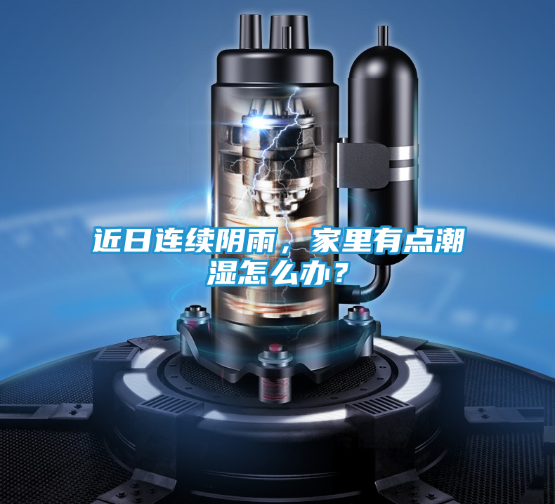 近日连续阴雨，家里有点潮湿怎么办？