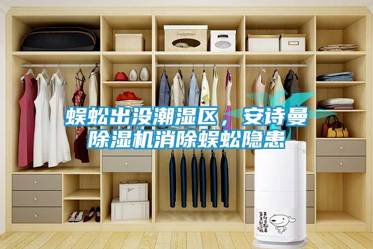 蜈蚣出没潮湿区，安诗曼除湿机消除蜈蚣隐患