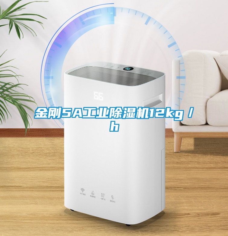 金刚5A工业除湿机12kg／h
