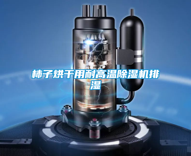 柿子烘干用耐高温除湿机排湿
