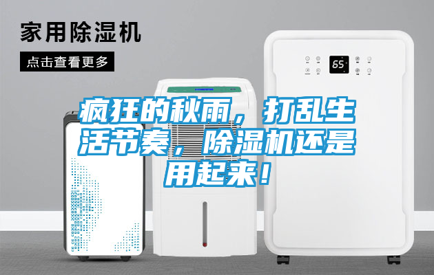 疯狂的秋雨,打乱生活节奏,除湿机还是用起来!