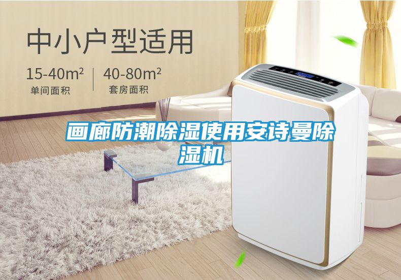 画廊防潮除湿使用安诗曼除湿机
