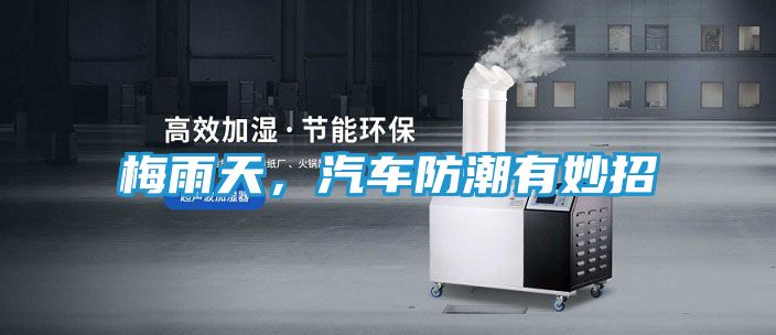 梅雨天，汽车防潮有妙招