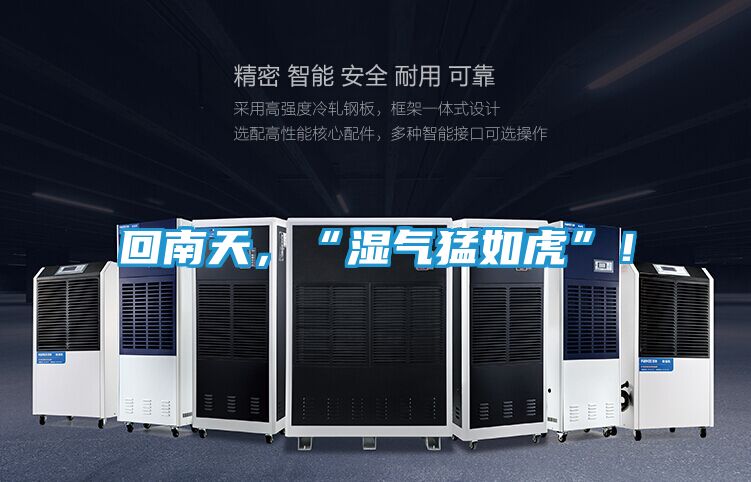 回南天，“湿气猛如虎”！