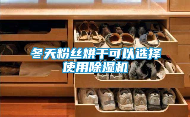 冬天粉丝烘干可以选择使用除湿机