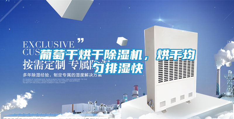 葡萄干烘干除湿机，烘干均匀排湿快