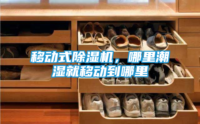 移动式除湿机，哪里潮湿就移动到哪里