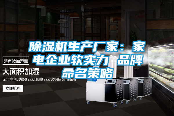 除湿机生产厂家：家电企业软实力 品牌命名策略