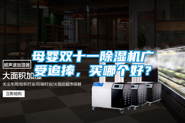 母婴双十一除湿机广受追捧，买哪个好？