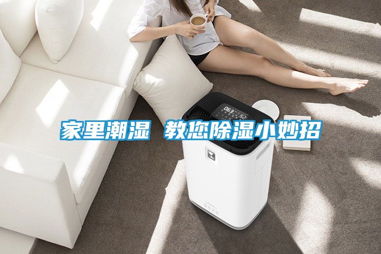家里潮湿 教您除湿小妙招