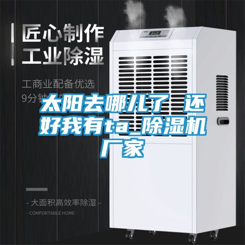 太阳去哪儿了 还好我有ta_除湿机厂家