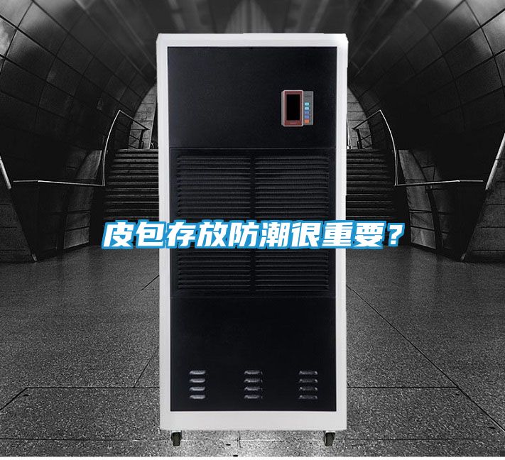 皮包存放防潮很重要？