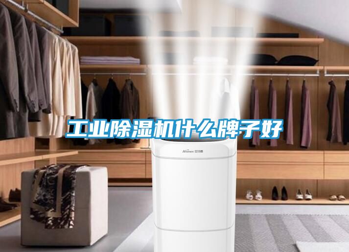 工业除湿机什么牌子好