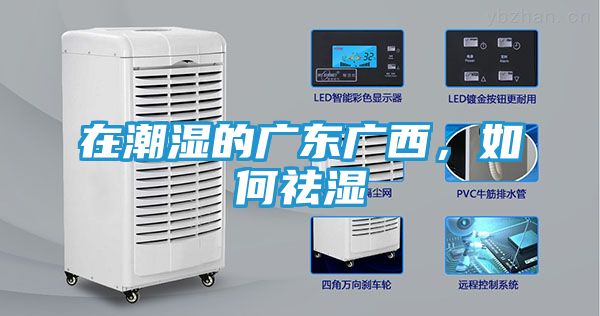 在潮湿的广东广西，如何祛湿