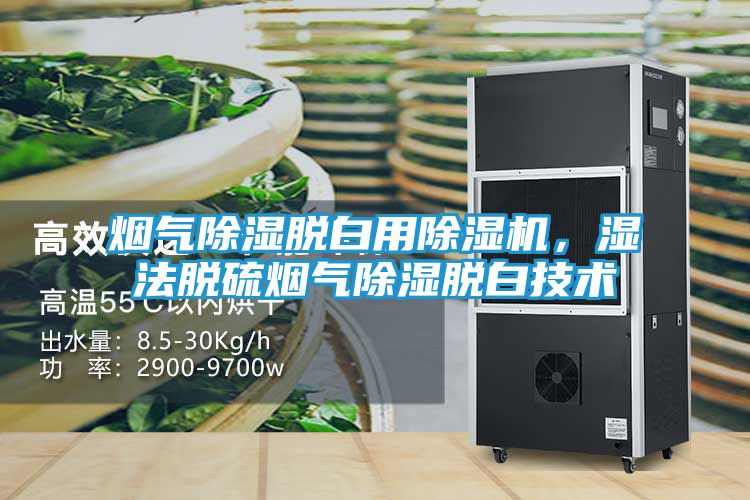 烟气除湿脱白用除湿机，湿法脱硫烟气除湿脱白技术