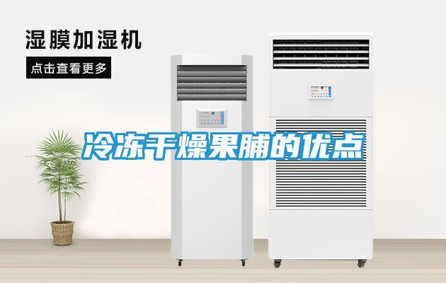 冷冻干燥果脯的优点