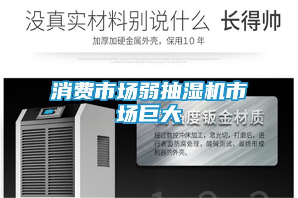 消费市场弱抽湿机市场巨大