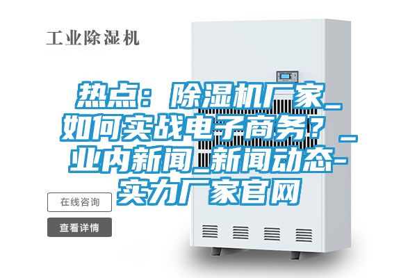 热点：除湿机厂家_如何实战电子商务？_业内新闻_新闻动态-实力厂家官网