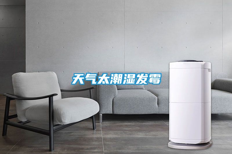 天气太潮湿发霉