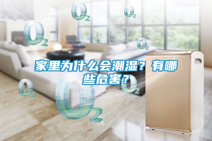 家里为什么会潮湿？有哪些危害？