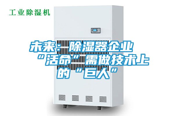 未来:除湿器企业“活命”需做技术上的“巨人”