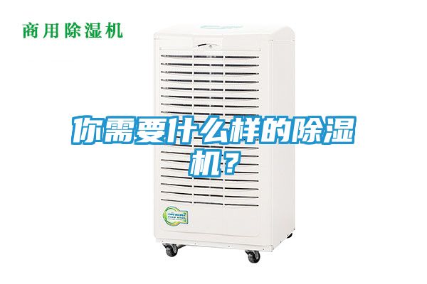 你需要什么样的除湿机？